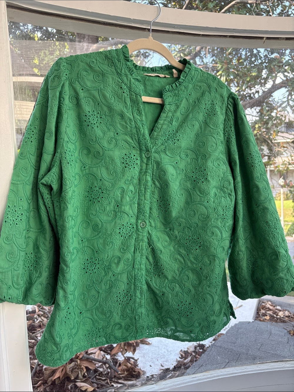 Soft Surroundings Green Eyelet Button-Up Blouse